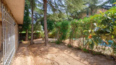 Chalet in Los Ángeles - Jarandilla photo 65