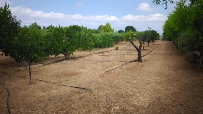 Finca rústica en Cataluña photo 40