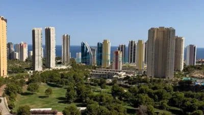 Apartment in Via Parque photo 17