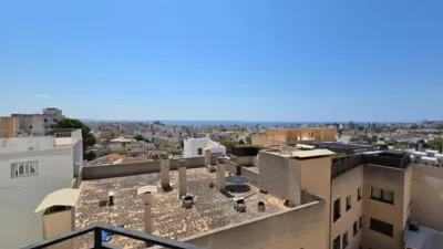 Apartment in Son Espanyolet photo 6