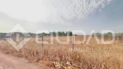 Rustic Finca in South Of Spain photo 5