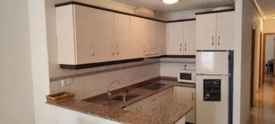Apartment in Playa del Cura photo 7