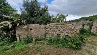 Rustic Finca in Son Servera photo 26