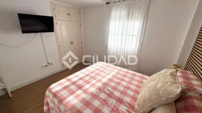 Apartment in Martín Miguel photo 9
