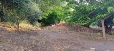 House in Los Raspajos photo 7