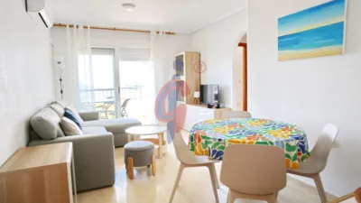 Pis – Guardamar del Segura, Urbanització Pinar de Guardamar - Més