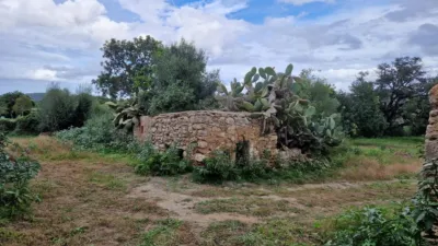 Rustic Finca in Son Servera photo 3