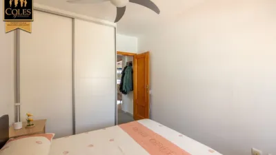 Apartment on Sanchez de Los Street photo 13