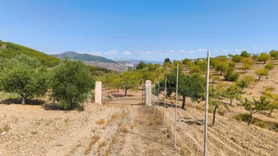 Finca rústica en calle Colladillo photo 19
