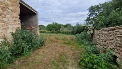 Rustic Finca in Son Servera photo 11