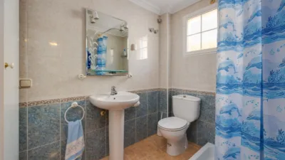House in Playa Flamenca photo 17
