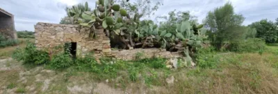 Rustic Finca in Son Servera photo 8