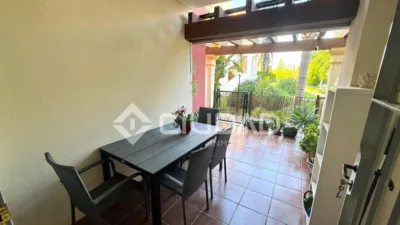 Apartment in Martín Miguel photo 4