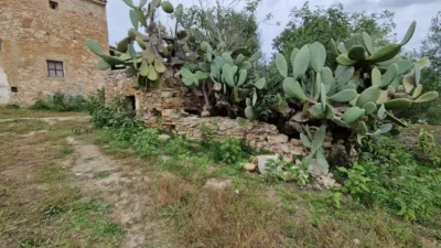 Rustic Finca in Son Servera photo 7