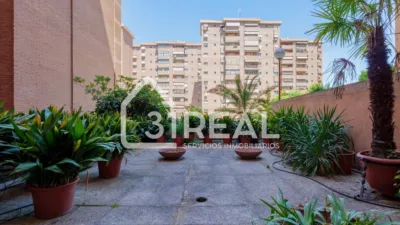 Apartment on Calle de la Isla Malaita photo 9