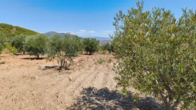 Rustic farm on Colladillo Street photo 4