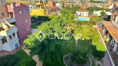 Apartment in Martín Miguel photo 17