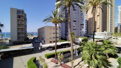 Pis – Benidorm - Més