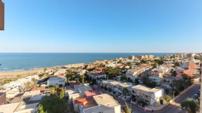 Pis – Torrevieja, Cabo Cervera-Playa la Mata - Vista 4