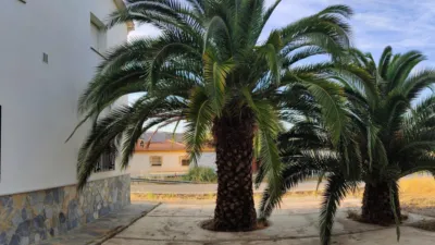 House in Los Raspajos photo 4
