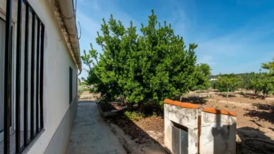 House in Cehegin Centre photo 8