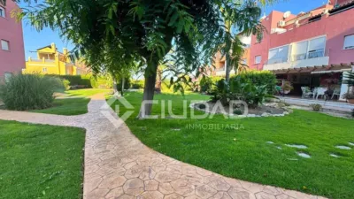 Apartment in Martín Miguel photo 29