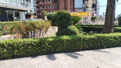 Apartment in Rincon de Loix Llano photo 16
