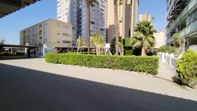 Apartment on Avenida del Mediterraneo photo 28