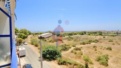 Pis – Guardamar del Segura, Urbanització Pinar de Guardamar - Vista 3