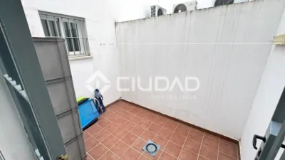 Apartment in Martín Miguel photo 22