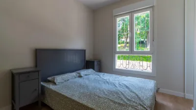 Apartment in Palacio photo 19