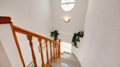 House in Playa Flamenca photo 18