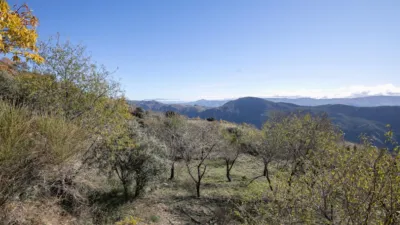 Rustic Finca in Pitres photo 36