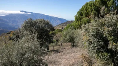 Rustic Finca in Pitres photo 23