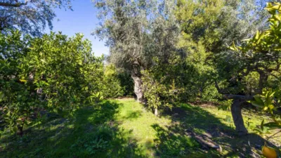 Chalet in South of Spain photo 58