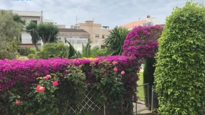 House on Carrer del Pi photo 8