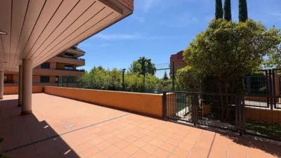 Apartment on Severo Ochoa Street photo 44