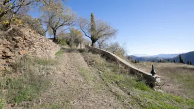 Rustic Finca in Pitres photo 28