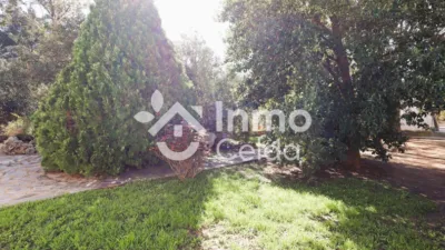 Chalet on Calle de la Amistat photo 46