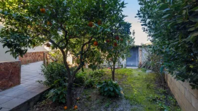 Chalet in South of Spain photo 55