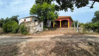 Rustic Finca in Arcos de La Frontera photo 3