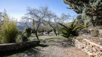 Rustic Finca in Pitres photo 25
