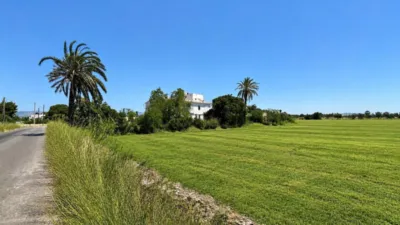 Rustic Finca in Son Ferriol photo 12