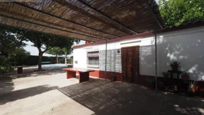 Miniatura 12