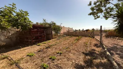 Apartment in El Altet - Balsares photo 32