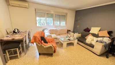 Apartment in Pino Montano photo 4