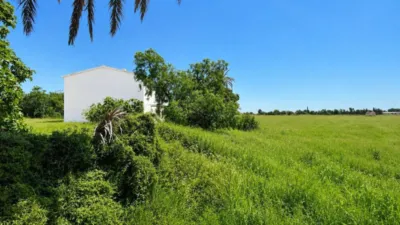 Rustic Finca in Son Ferriol photo 13