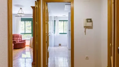 Apartment in Príncipe de Asturias photo 13