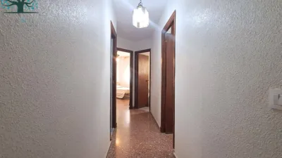 Apartment in the Center photo 22