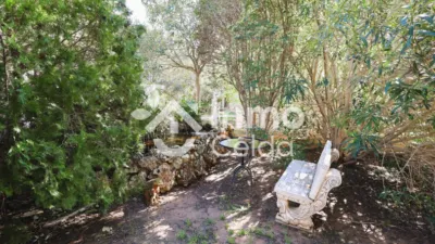 Chalet on Calle de la Amistat photo 45